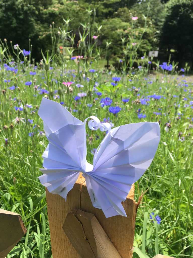 Poésie et ode à la nature