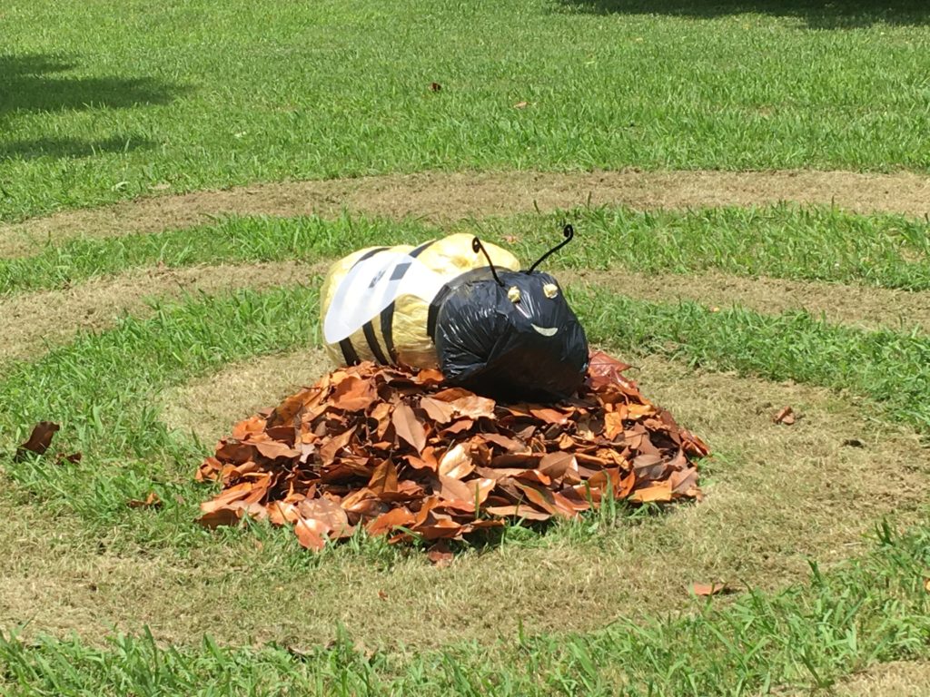 L'abeille victorieuse !